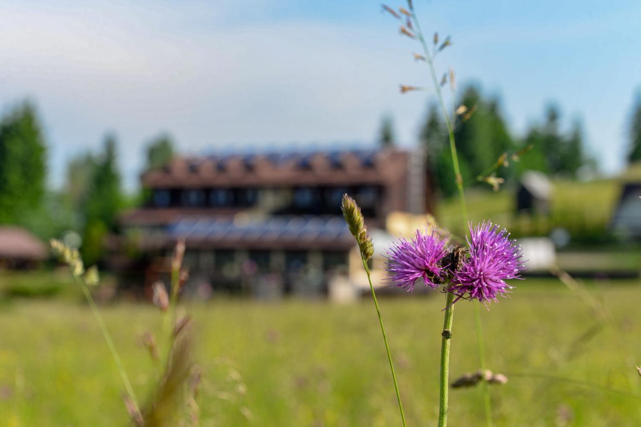 Pensiunea La Bella Vista Hotel Poiana Negrii Exterior foto